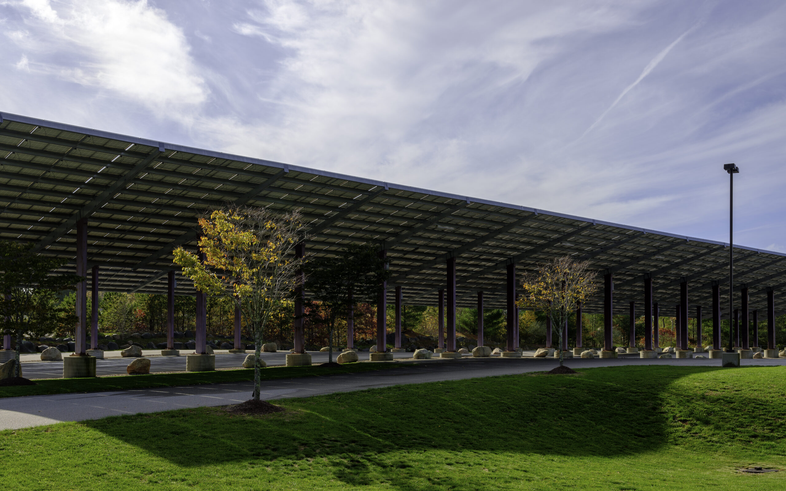 Solar panel covered parking lot with green lawn and colorful maple trees